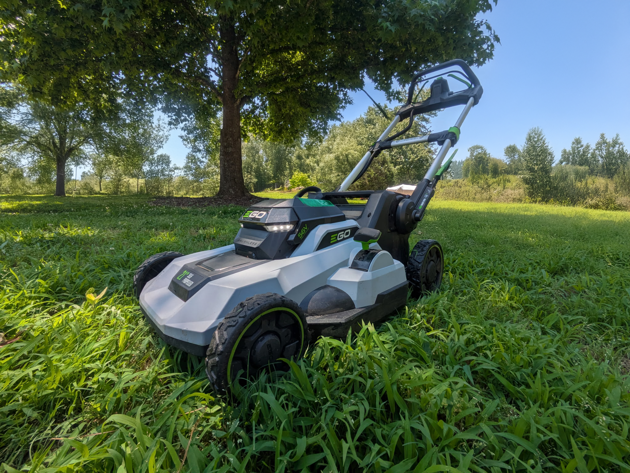 Professional lawn mowing